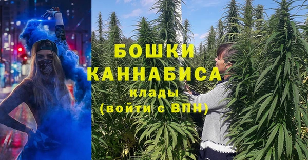 твердый Осташков