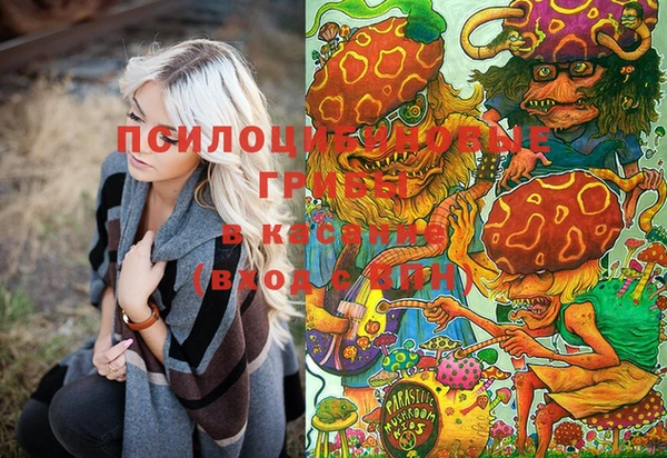 твердый Осташков