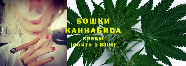 МДПВ Галич
