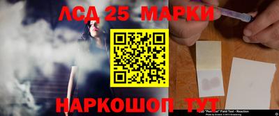 мяу мяу мука Гай