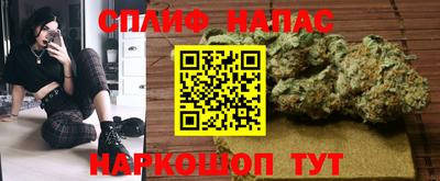 мяу мяу мука Гай