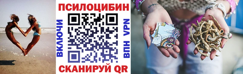 Галлюциногенные грибы Psilocybine cubensis Амурск