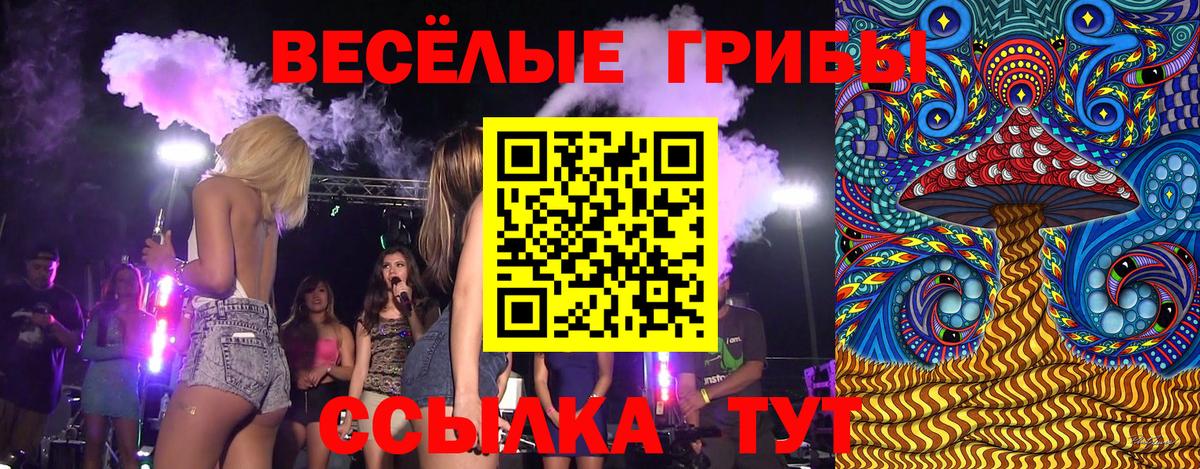 Галлюциногенные грибы мухоморы Амурск