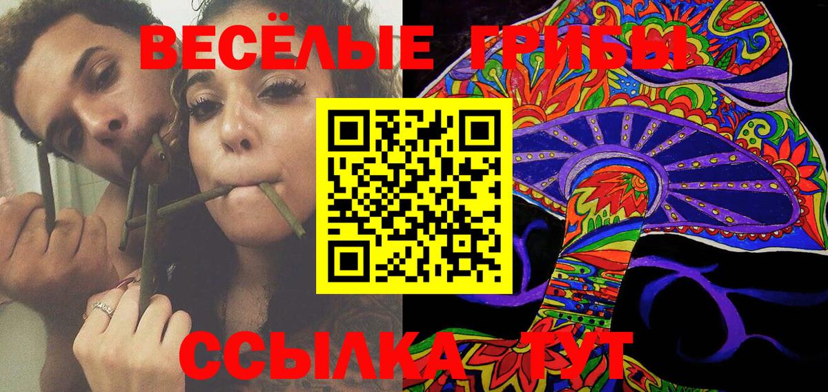 Галлюциногенные грибы мицелий  Галлюциногенные грибы Cubensis  Вход с VPN  Амурск 